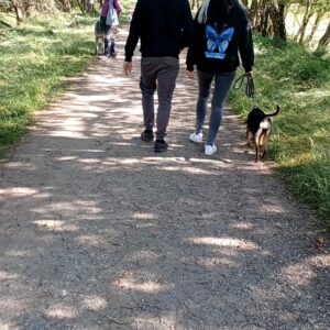 Hundebegegnungskurs - intensiv 8 Termine je 60 Minuten
